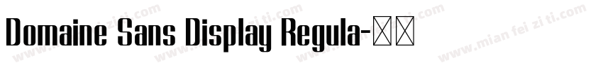 Domaine Sans Display Regula字体转换